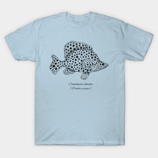 Cromileptes altivelis T-Shirt